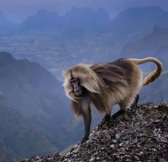 Simien Mountains National Park, Ethiopia