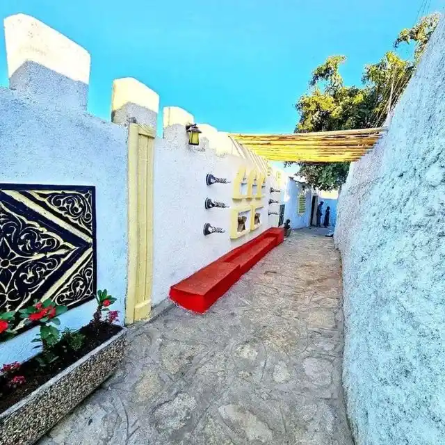 Cultural walking tour through Harar's old town