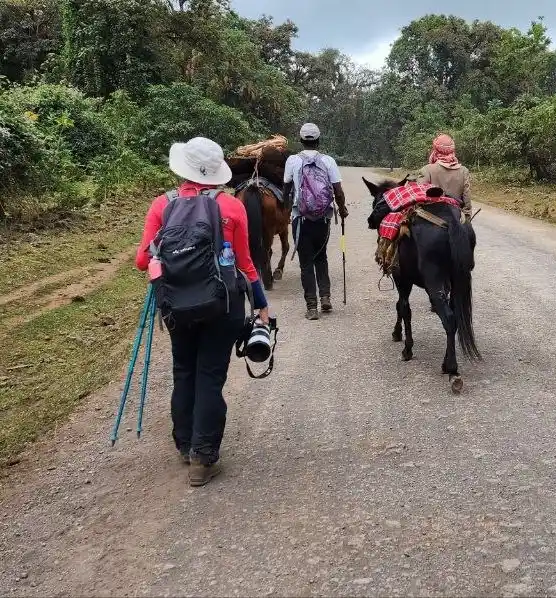 Ethiopia Trekking Guide
