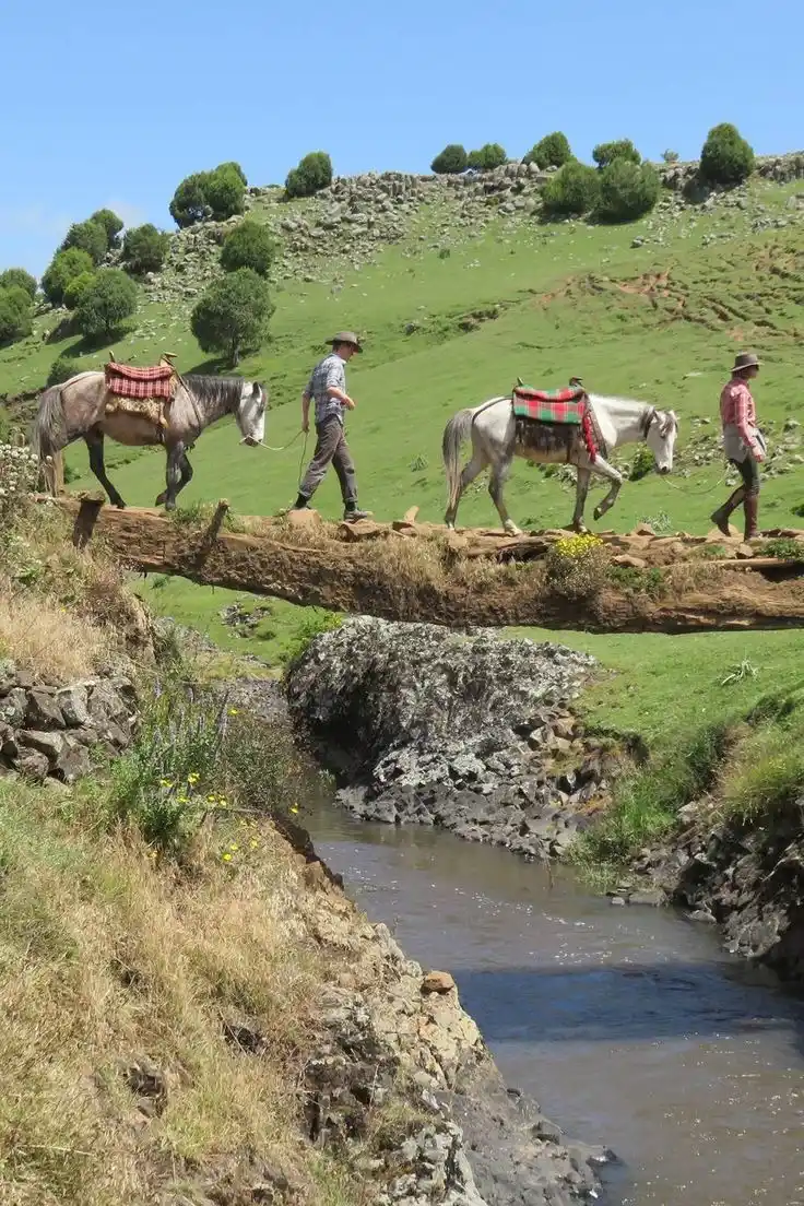Horse trekking across an Ethiopian highland trail