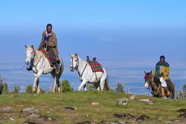 Horse Trekking in Ethiopia