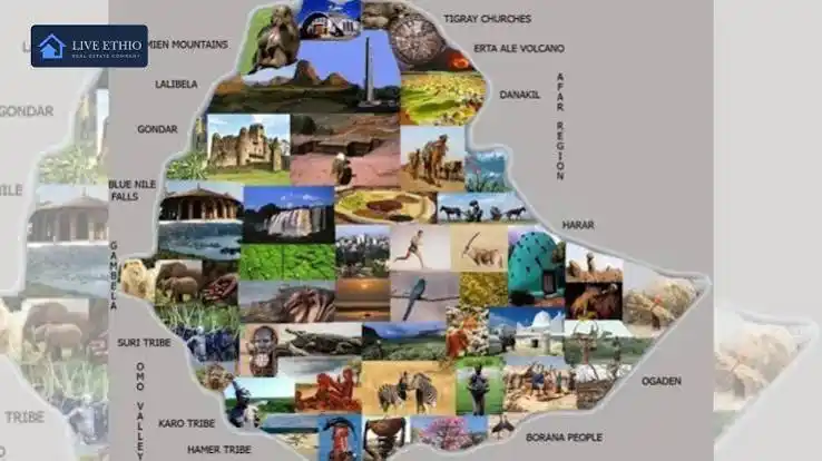 How to Get Around Ethiopia