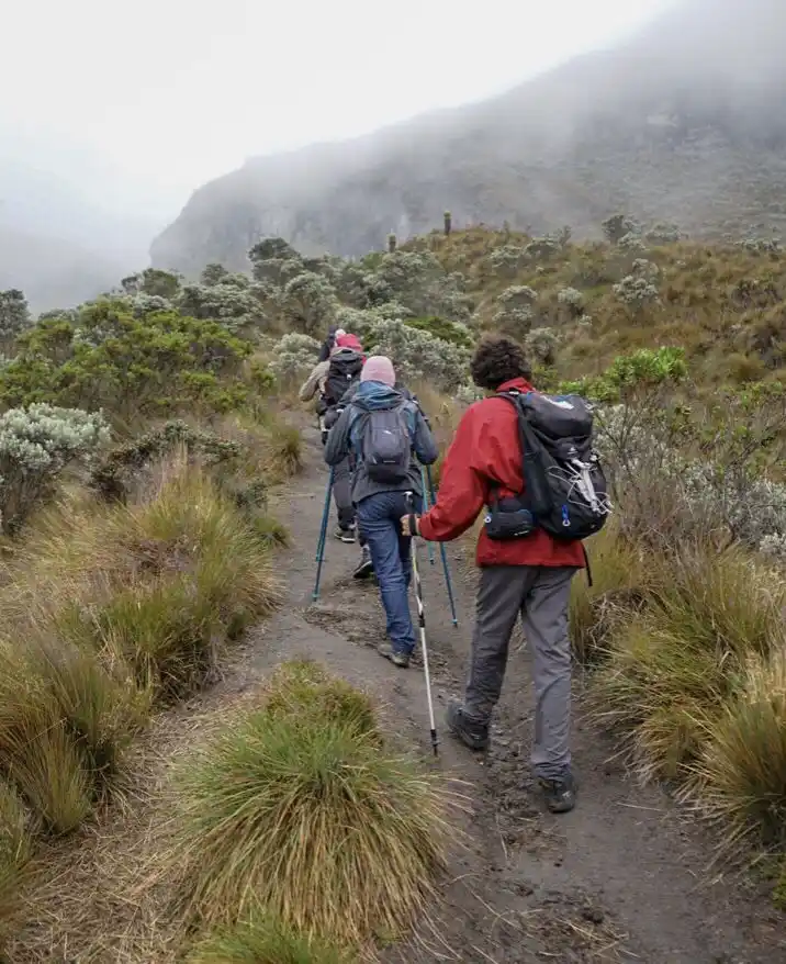 Trekkers hiking a mountain trail in the Ethiopian highlands